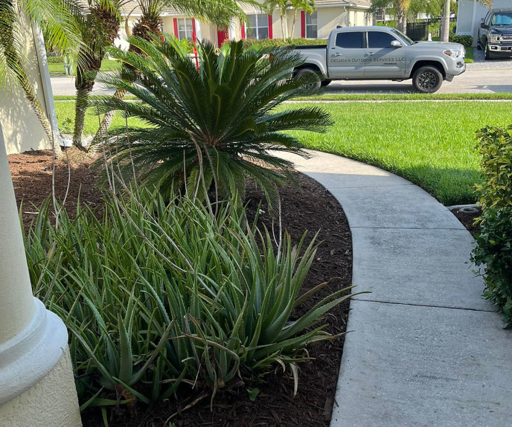 Landscape design and maintenance in brevard county florida