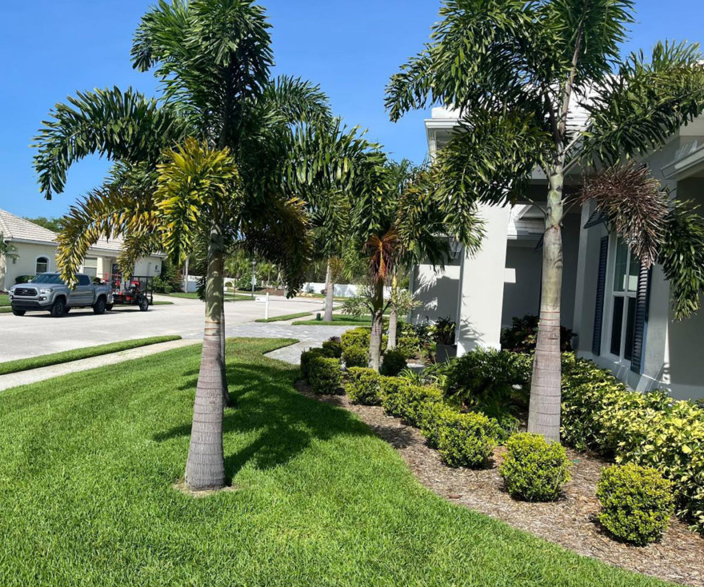residential and commercial tree and shrub installation merritt island and brevard county florida